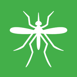 White Mosquito on green background